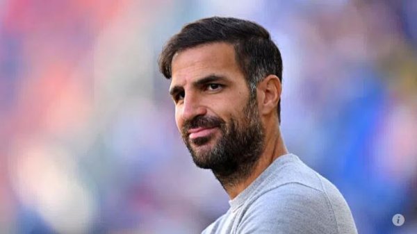 法布雷加斯：年青是科莫的上风，曾思把德赫亚带来球队